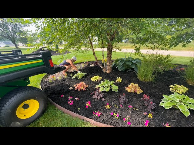 Spreading Mulch on My New Property Line Garden, Kidney Bean Island Bed and Side Yard! Happy 4th 🇺🇸