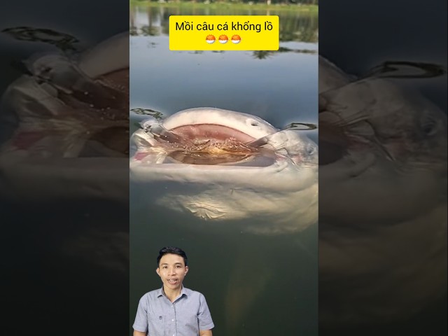 Độc lạ làm mồi câu cá khổng lồ #cacconvat #docla #fishing #ca7mau #phongthuy #cacanh