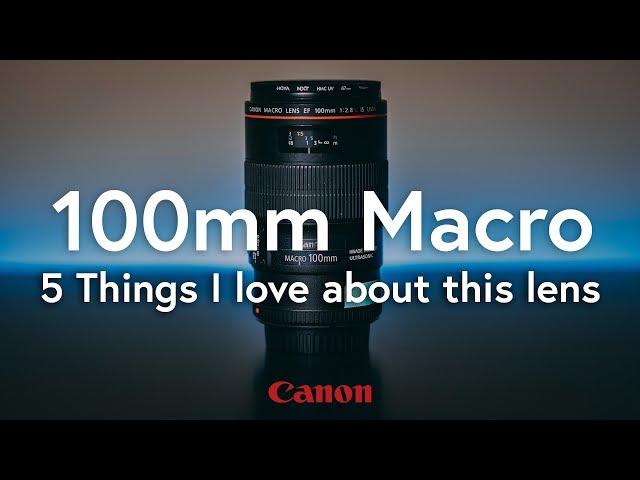 Canon EF 100mm f/2.8L Macro USM Review