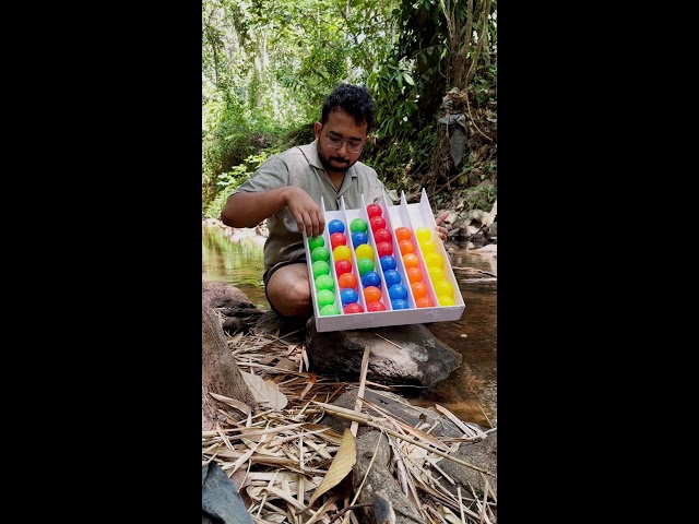 Day 3 of Lonely Man in the Forest Solving Color Ball Puzzles | Relaxing Stream Sounds & Nature ASMR