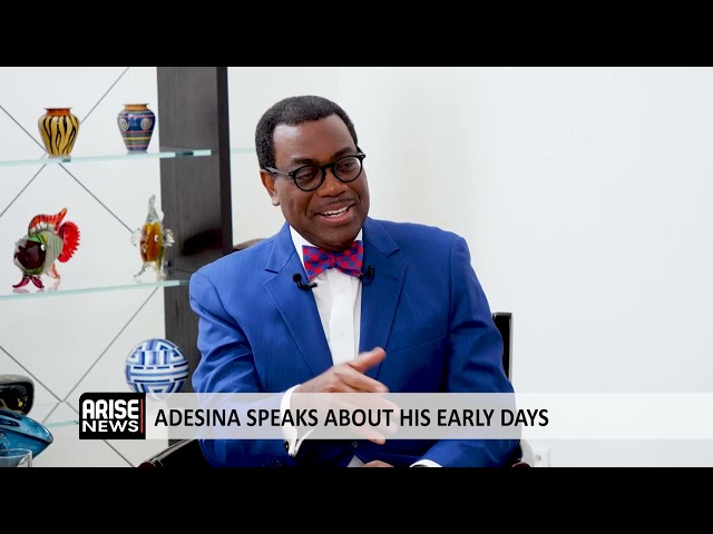 Adesina: I Launched a $25 Billion Programme to Turn Around Agriculture in Africa