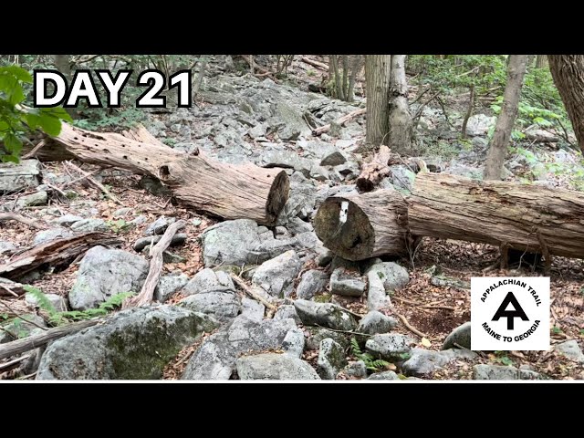 Thanks for your help | Day 21 | Appalachian Trail 2023 | Flip Flopper