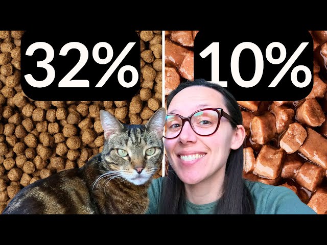 You won’t believe which cat food has more protein