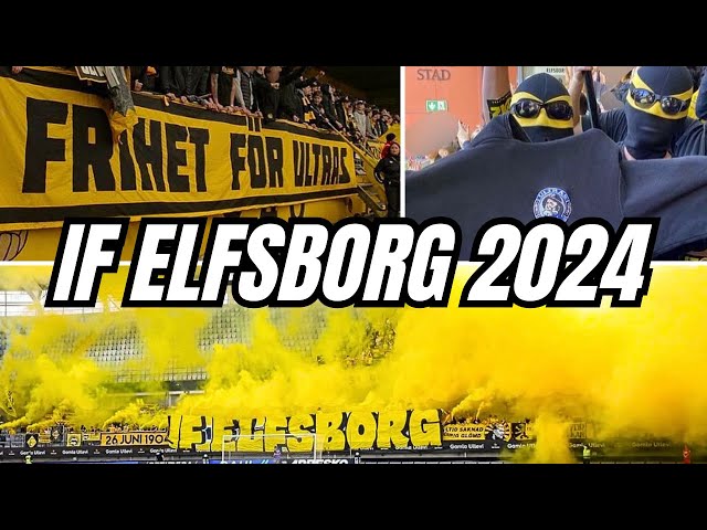 IF Elfsborgs Supportersäsong 2024