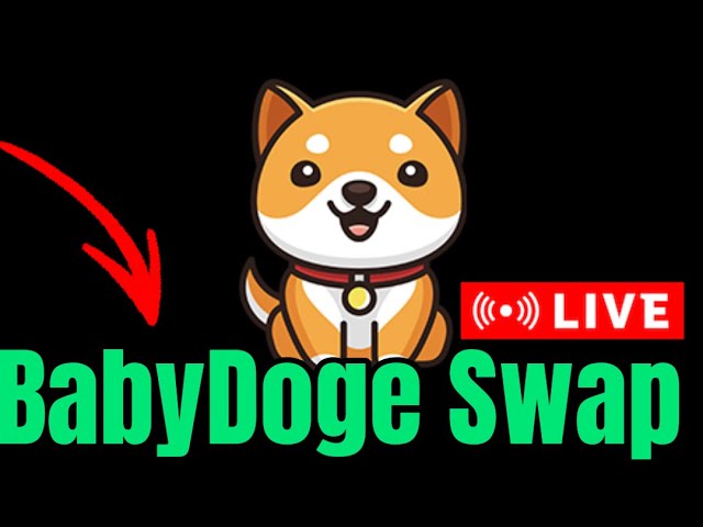 BabyDoge SWAP Announcement LIVE