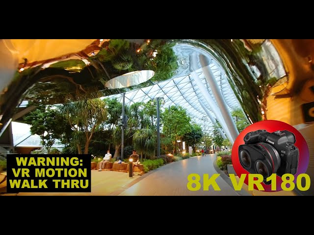 JEWEL CANOPY PARK WALK Changi Airports main new attraction 8K 4K VR180 3D (Travel Videos ASMR Music)