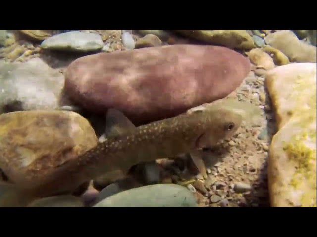 Full Documentry | HD Documentary | Glacier National Park | National Geographic