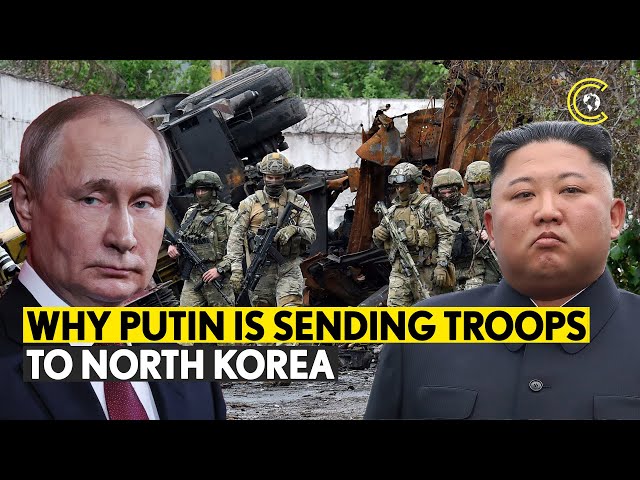 Kim Jong Un & Putin's War Deal Extends From Long Range Artillery To Medical Help | Ukraine | CLRCUT