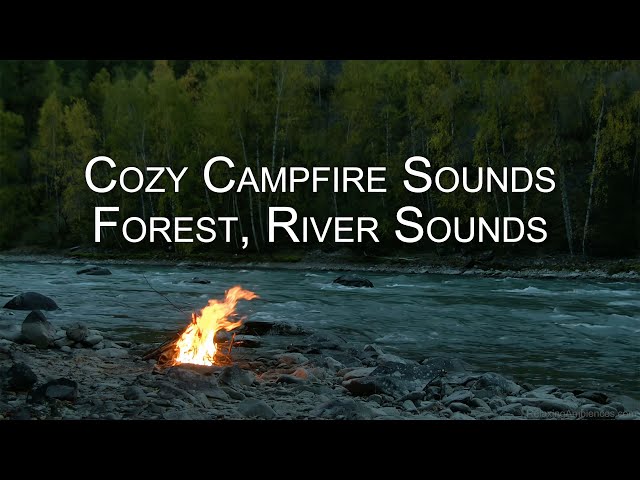 Cozy Campfire with Crackling fire 🔥 Relaxing Ambience, White Noise & Nature Sounds by Scenic Sound