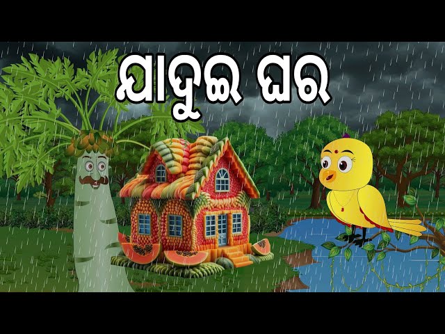 ଯାଦୁଇ ଘର  || Magical House  | Pari Gapa | Ranu Kau Gapa | Odia Birds Stories | Jungle Toons