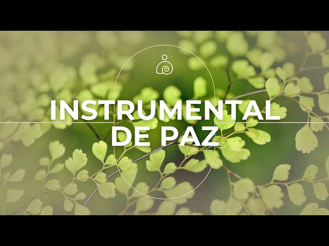 Instrumental De Paz🌿Música instrumental relajante🌿La música suave calma el sistema nervioso