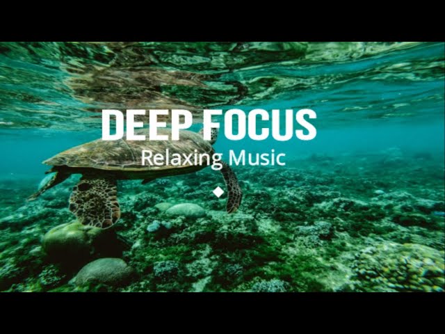 4K Vast Ocean Meditation Video - Best UHD Screensaver, Best for TV Relaxing Oceanscapes  🐠