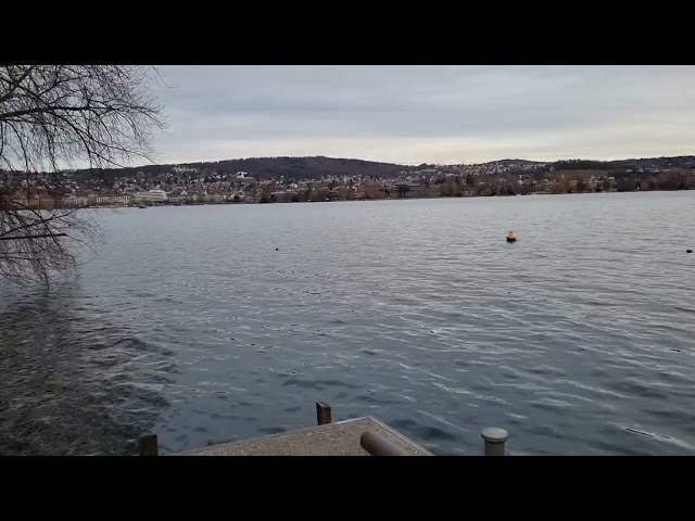 Zürichsee Mit Wunder Schöner Ausicht aus Zürich.