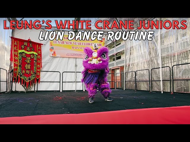 San Francisco Street Fair 2025 | White Crane Juniors Lion Dance