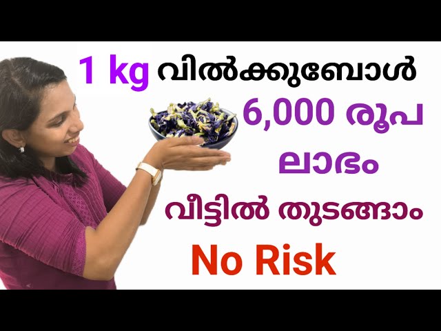 1 kg വിൽക്കുബോൾ 6000 രൂപ ലഭിക്കുന്ന Product..വീട്ടിൽ വളരെ എളുപ്പം ഈ Business ചെയ്യാം|Low investment