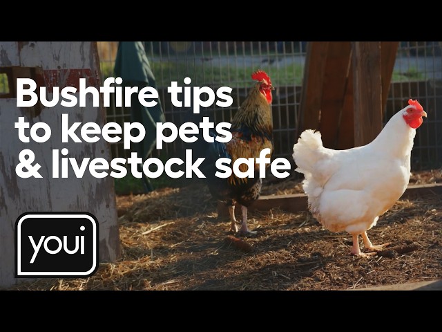 Bushfire Survival Plan (2025) for Pets and Livestock