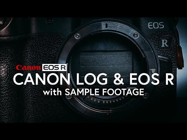 Canon LOG and EOS R with sample footage: Should you always use it?