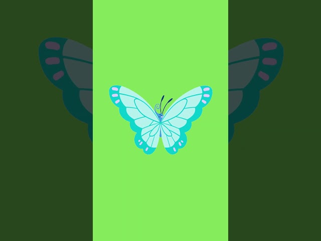 butter flies animation video || green screen || free download