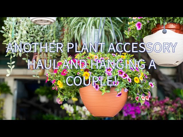 A PLANT ACCESSORY HAUL AND HANGING A COUPLE! | HOUSE PLANTS | HANGING PLANTS | TROPICAL PLANTS