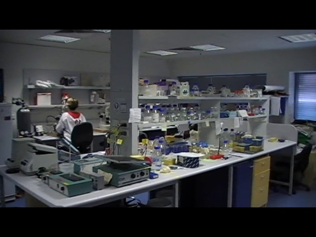 Alzheimer's Disease Genetics Laboratory - lab tour