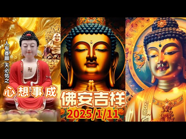 #佛安吉祥🙏🌅#早安佛法 1月11日之完整版 #佛祖🙏#阿彌陀佛 #保佑 #平安 #財運 #善心 #人生感悟 #佛教 #正能量 #祝福 #早安 #修心 #修行 #感悟 #智慧 #佛禪 #佛