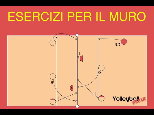 esercizi per muro #GoGuidoniaVolley #esercizi