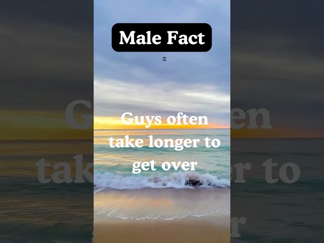 Male Fact