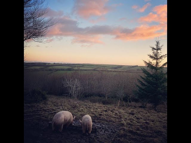 Farm Case Study 29: Red Deer Farm, Exmoor