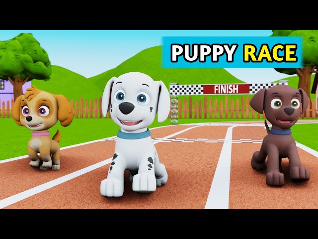 Dog Cartoon | Cartoon | Cartoon Video | Dog Videos | Dog | Cartoon Cartoon