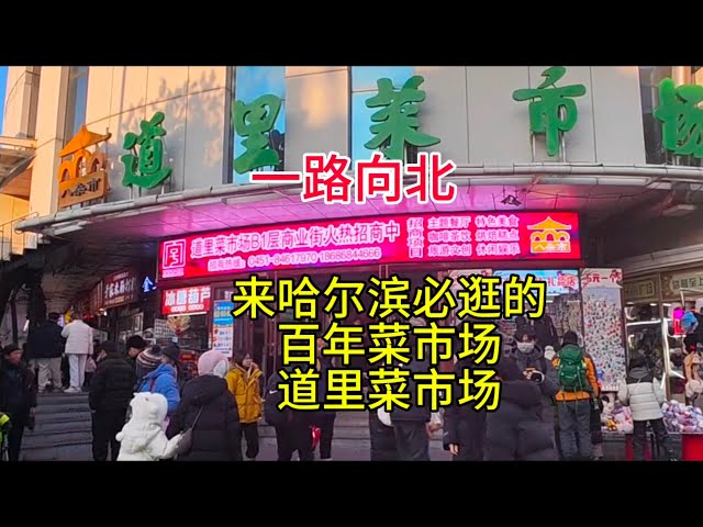 一路向北，来哈尔滨必逛的百年菜市场道里菜市场，普通话2025-1-11