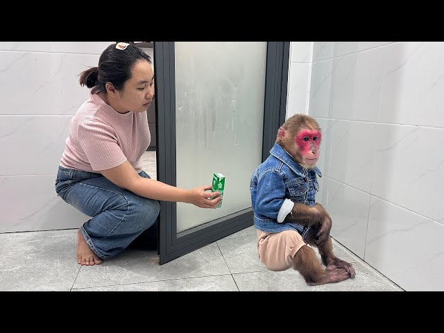 What did mom do to make monkey Kobi so angry with her?