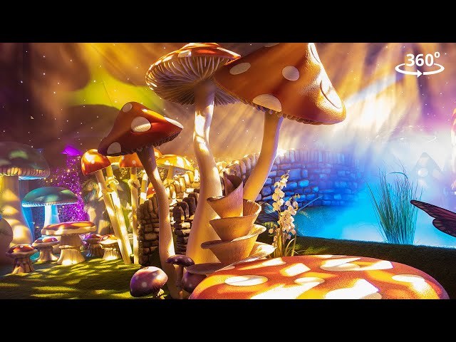 Enchanted: Mushroom Glade (360° Video)