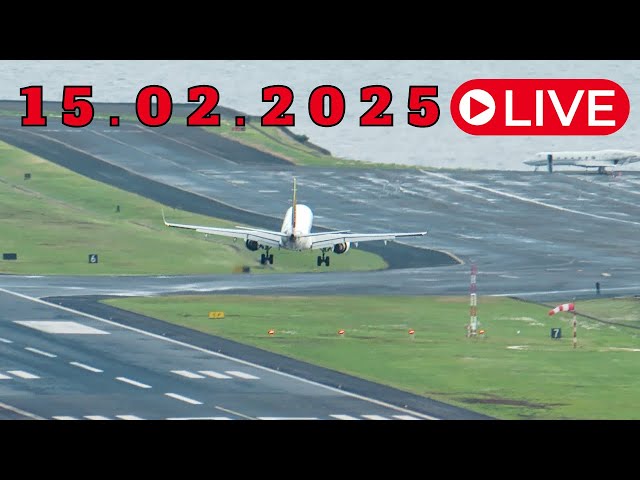 LIVE WINDY ACTION From Madeira Island Airport 15.02.2025