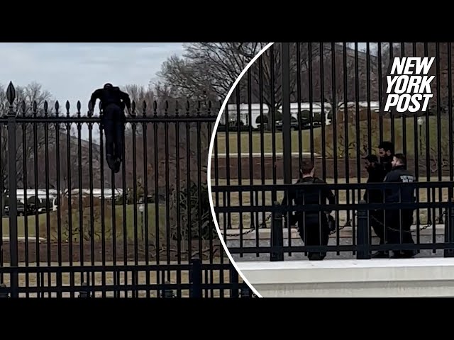 Secret Service swarm black-clad man who tried climbing over White House fence after saying, ‘F–k it’