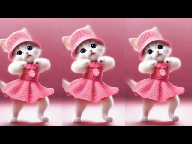 💃😻Dancing Cats Viral  Videos:Videos for Cats 💃🤣#catvideos #dancingcat #catsmoves #cats #catlovers #