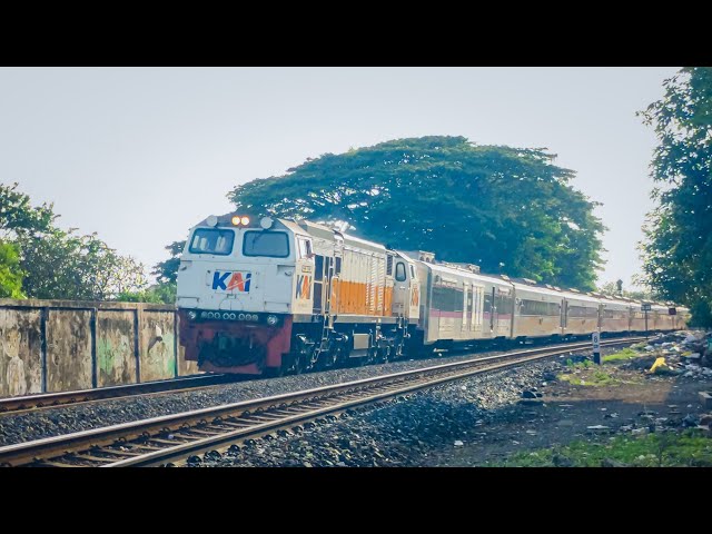 CC 206 13 38 SDT feat KA ARGO BROMO ANGGREK | Gambir - Surabaya pasar turi Masuk Surabaya pasar turi