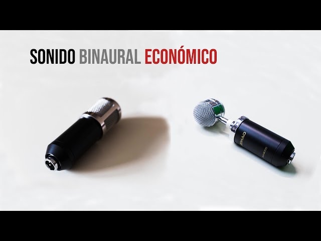 Sonido Binaural Económico