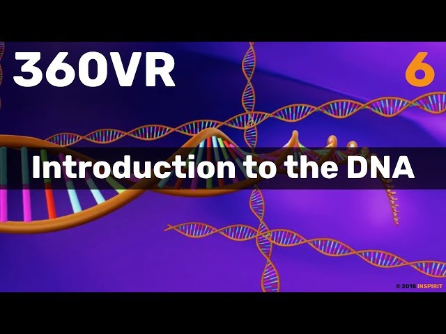 Chapter 6: Introduction to the DNA