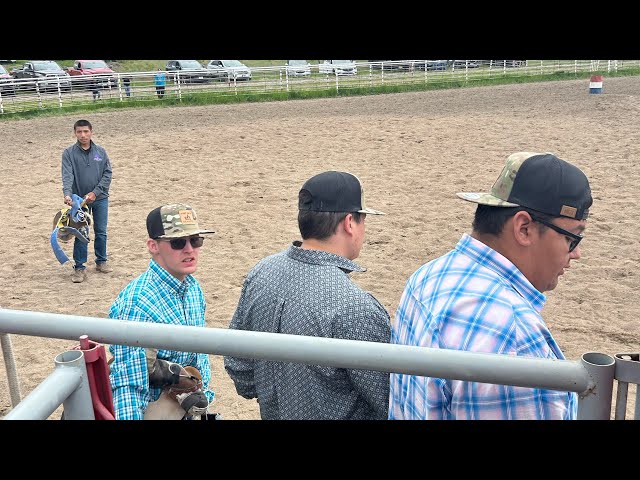 Poplar MT, Wild Horse Race Clinic 2024