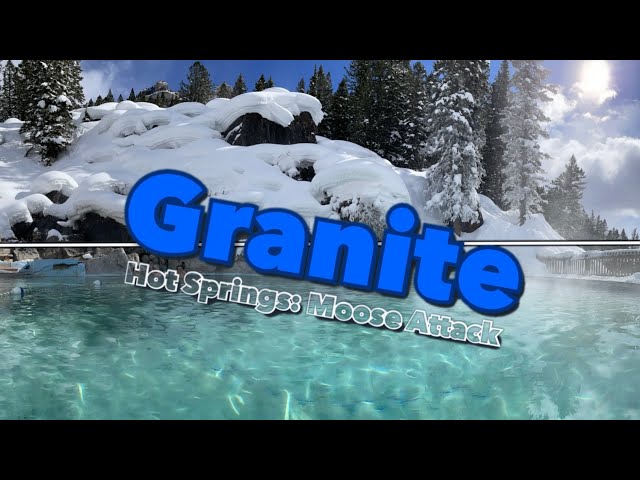 Granite Hot Springs: Moose Attack