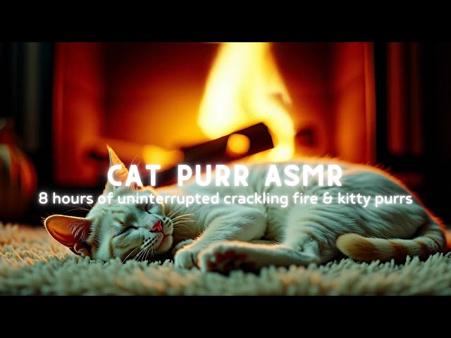 8 Hours of Soothing Cat Purring by the Crackling Fire | Relaxing ASMR Sounds for Sleep & Meditation