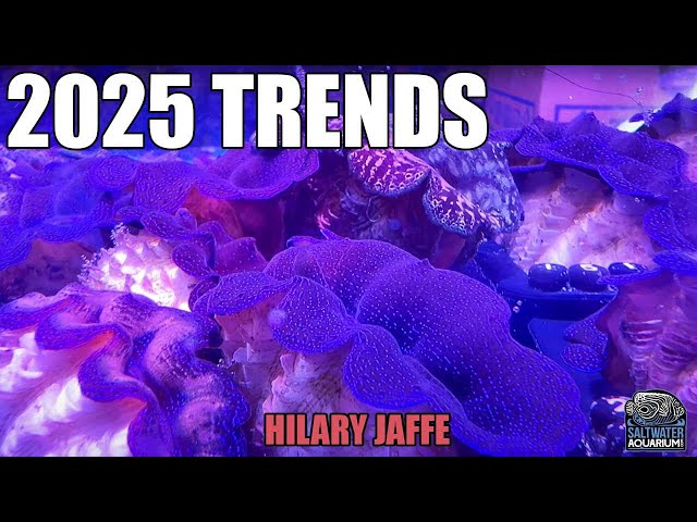 2025 Aquarium TRENDS - Predictions for What's In & Out For Reef Tanks - Hilary Jaffe