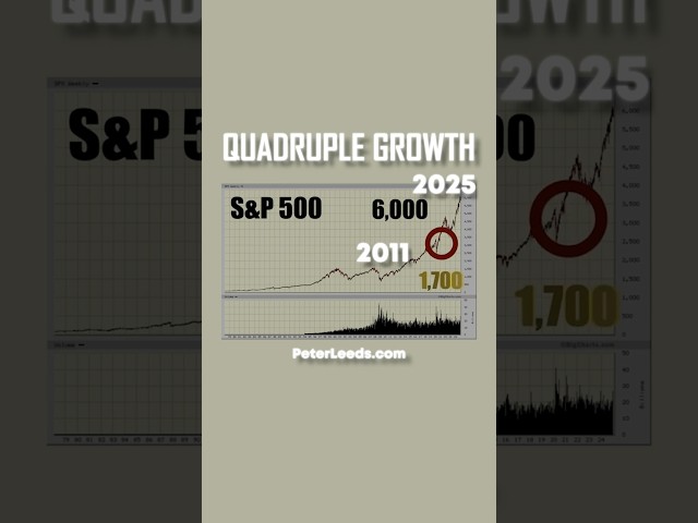 S&P 500 In 2025 #stockmarket #sp500