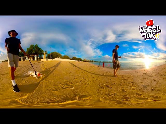 Ope!✨ 360 VR Beach Walk with @Wheelie_da_Dox. Honolulu, Hawaii #insta360onex2 #oculus Walking Video