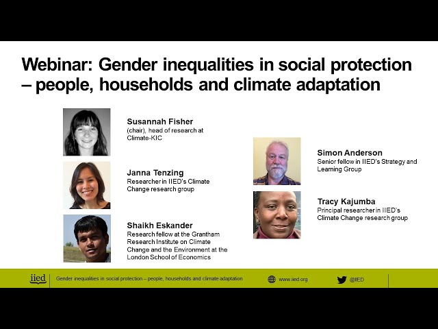 Webinar: Gender inequalities in social protection – people, households and climate adaptation