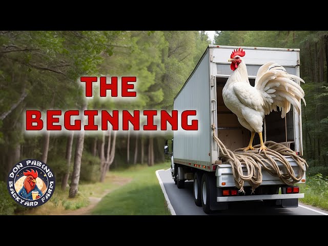 Don Pabing Backyard Farm: The beginning... VR view