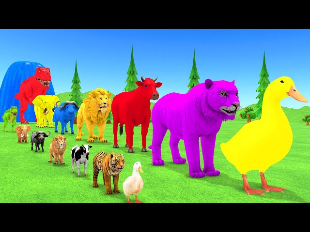 Paint Animals Duck,Tiger,Cow,Lion,Buffalo,Gorilla,Elephant,Dinosaur Fountain Crossing Animal Game Ne