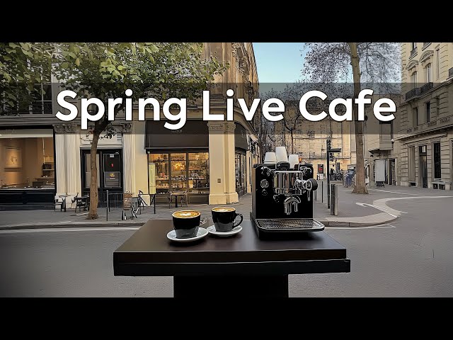 Spring Live Cafe☕Soft Jazz to Invite your Beautiful Soul to a Peaceful Day with Relax Coffee Mood