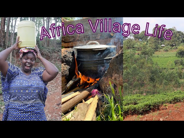 Cook with me Africa’s Most Popular common Traditional Village food lunch