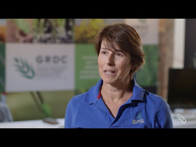 Liming costs and benefits | GRDC Bendigo Update 2019